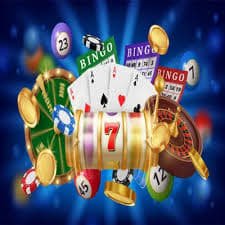 spingo
